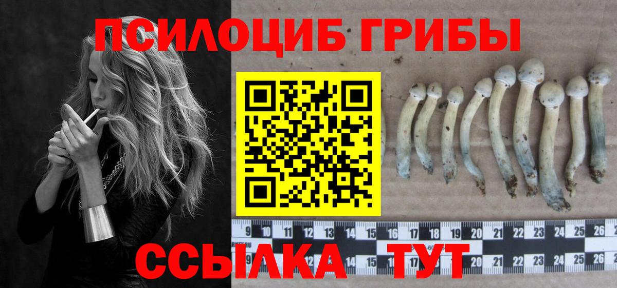 Псилоцибиновые грибы GOLDEN TEACHER Армавир